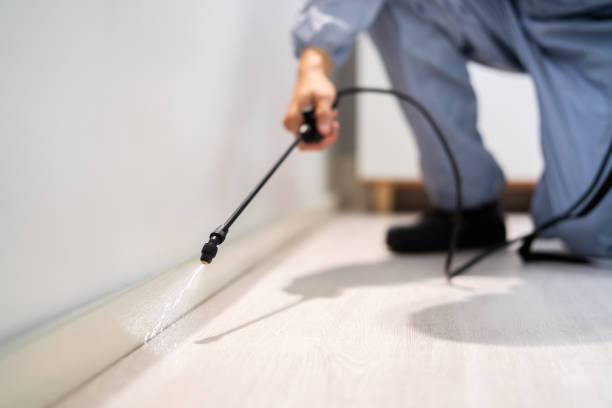 Licensed Cockroach Control service in McDonald, OH - Nex Pest Control