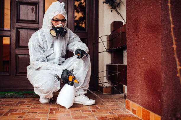 Reliable Cockroach Control contractor in McDonald, OH by Nex Pest Control