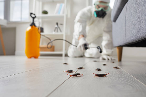 Affordable Cockroach Control solutions in McDonald, OH